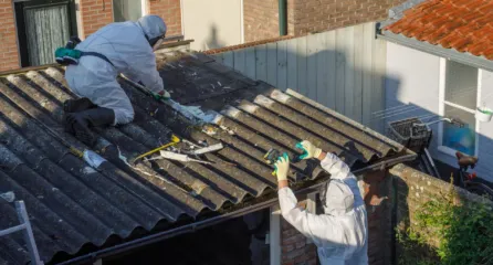Profielfoto van functie asbestverwijderaa. Twee asbestverwijderaars in witte beschermende kleding die asbest van een dak van een schuur halen.